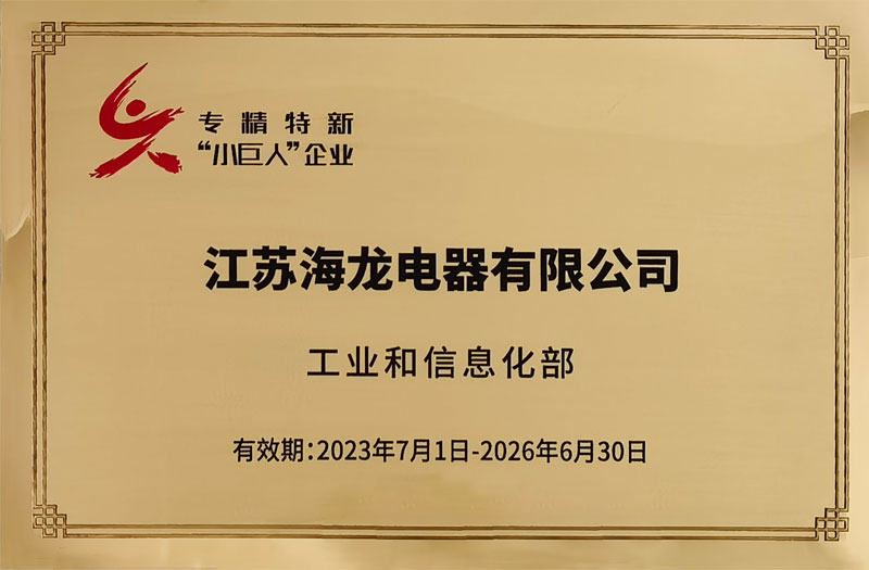  喜報：江蘇海龍成功入圍國家級“專精特新”小巨人企業(yè)？