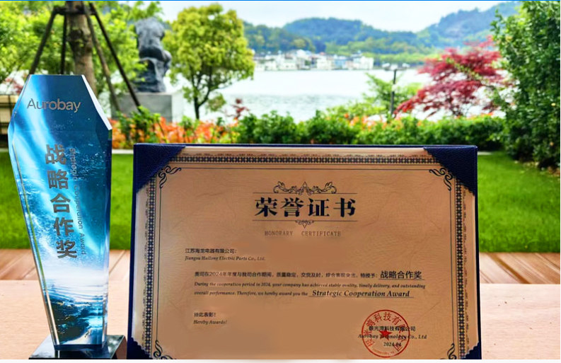   喜報：江蘇海龍榮獲吉利汽車2024年度供應(yīng)商“戰(zhàn)略合作獎”？